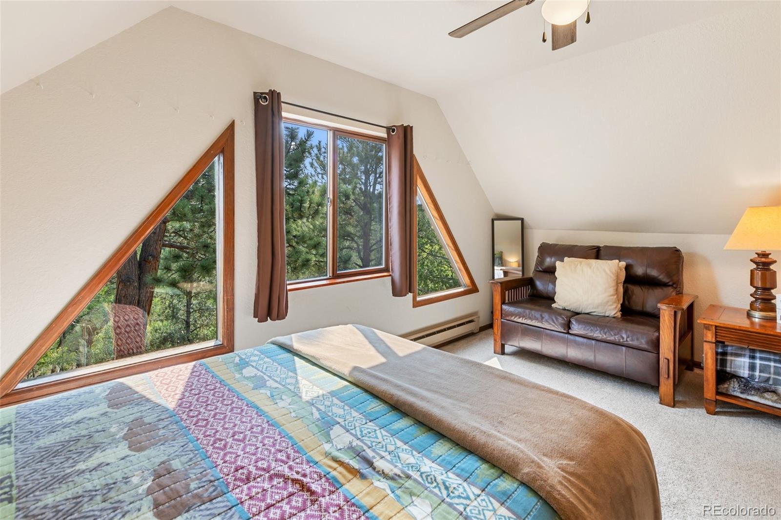 MLS Image #23 for 75  grosbeak circle,divide, Colorado
