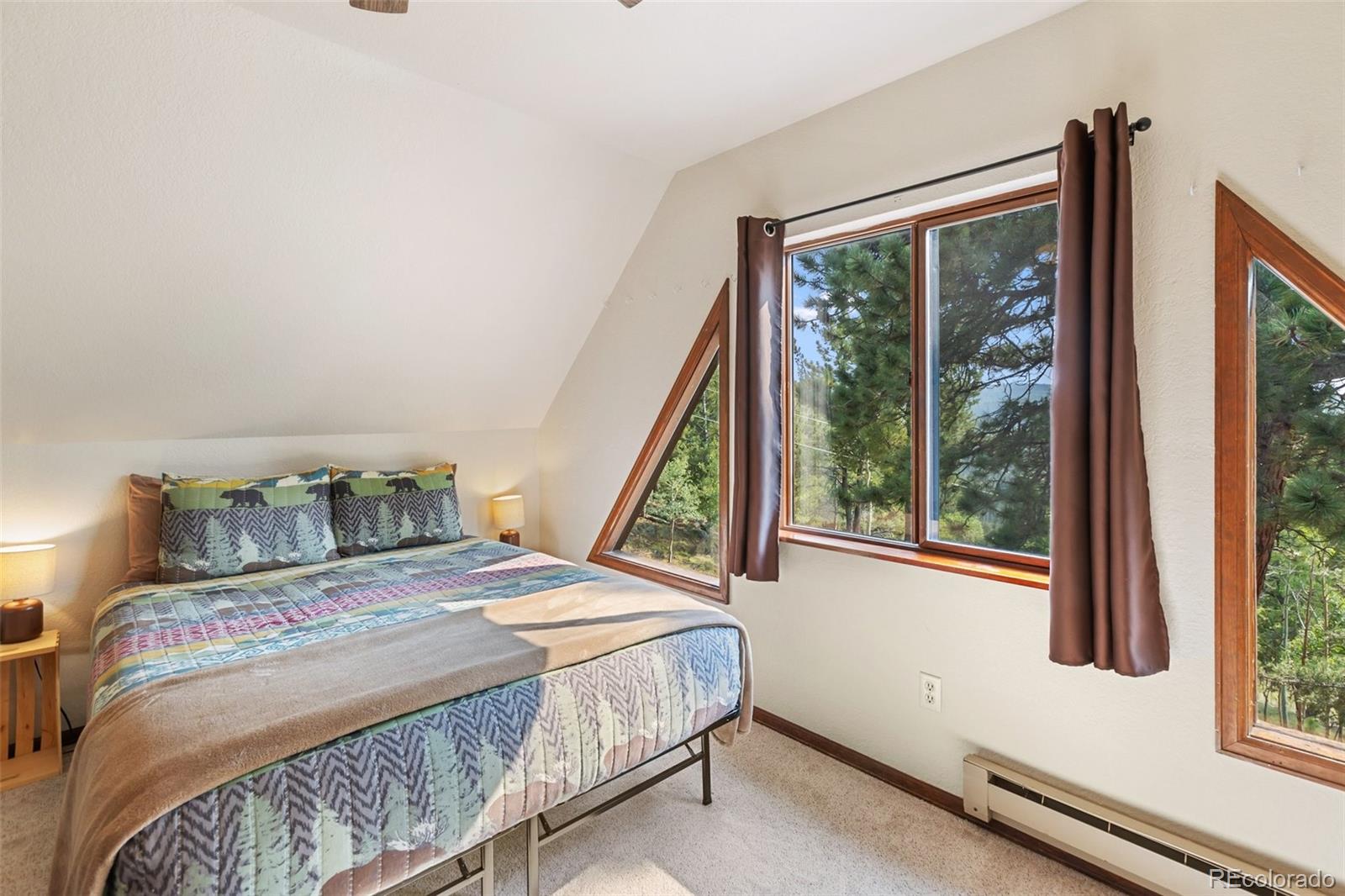 MLS Image #25 for 75  grosbeak circle,divide, Colorado