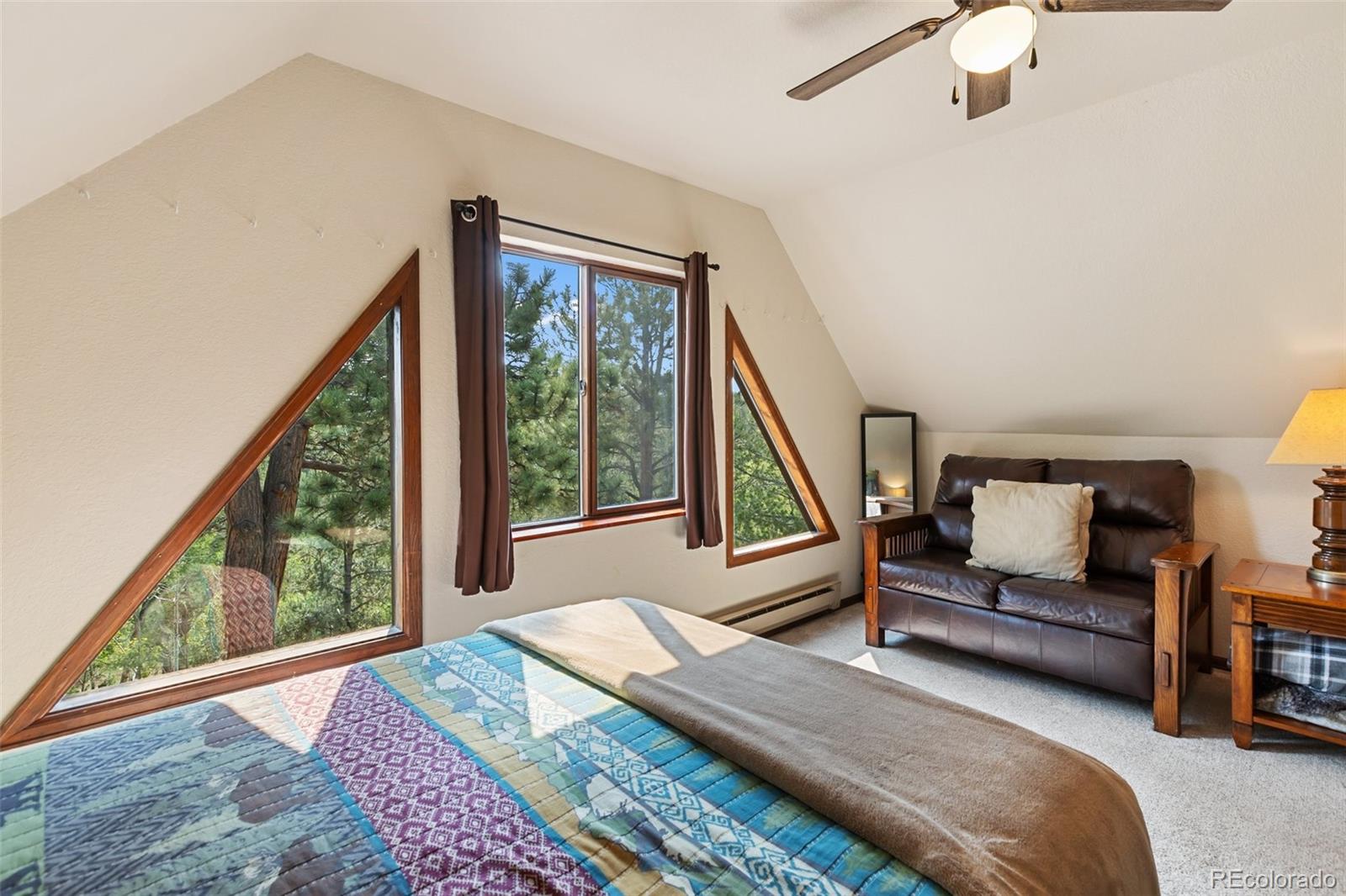 MLS Image #27 for 75  grosbeak circle,divide, Colorado