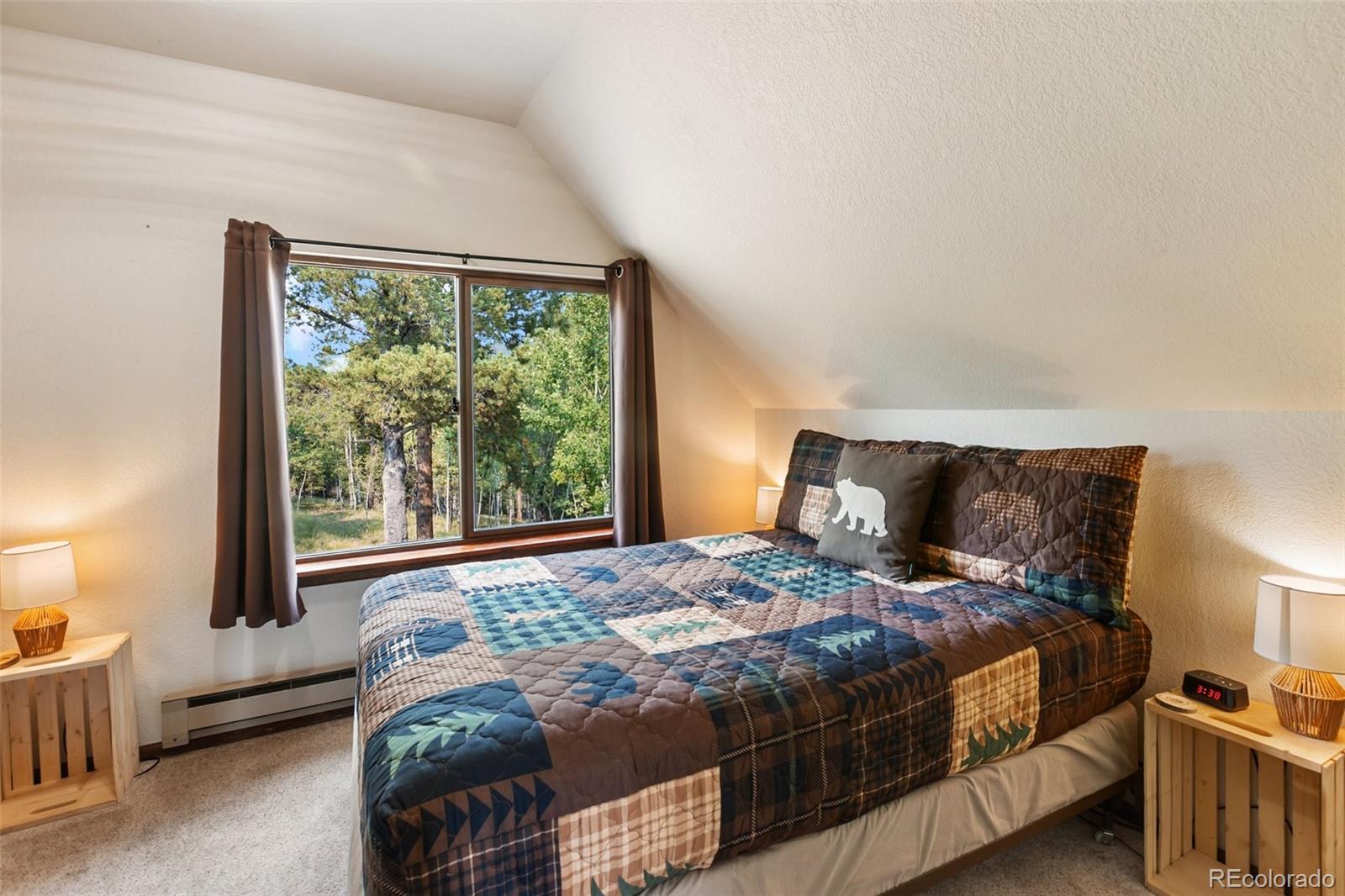 MLS Image #28 for 75  grosbeak circle,divide, Colorado
