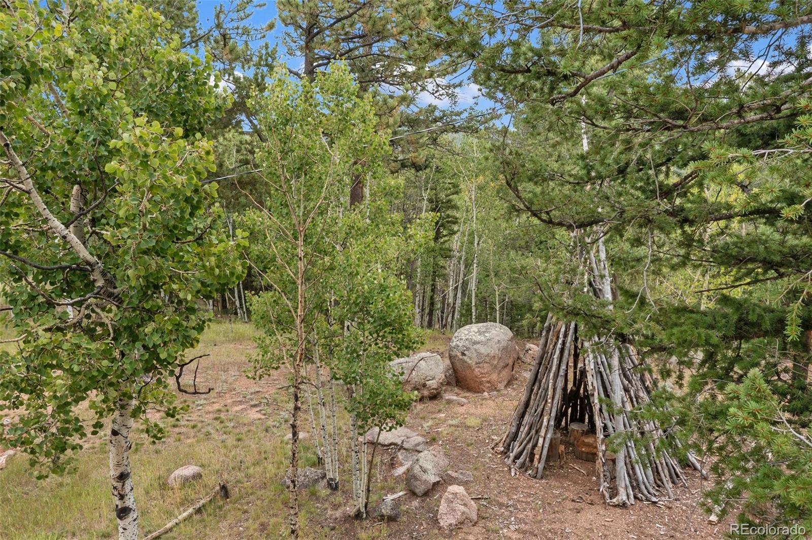 MLS Image #3 for 75  grosbeak circle,divide, Colorado