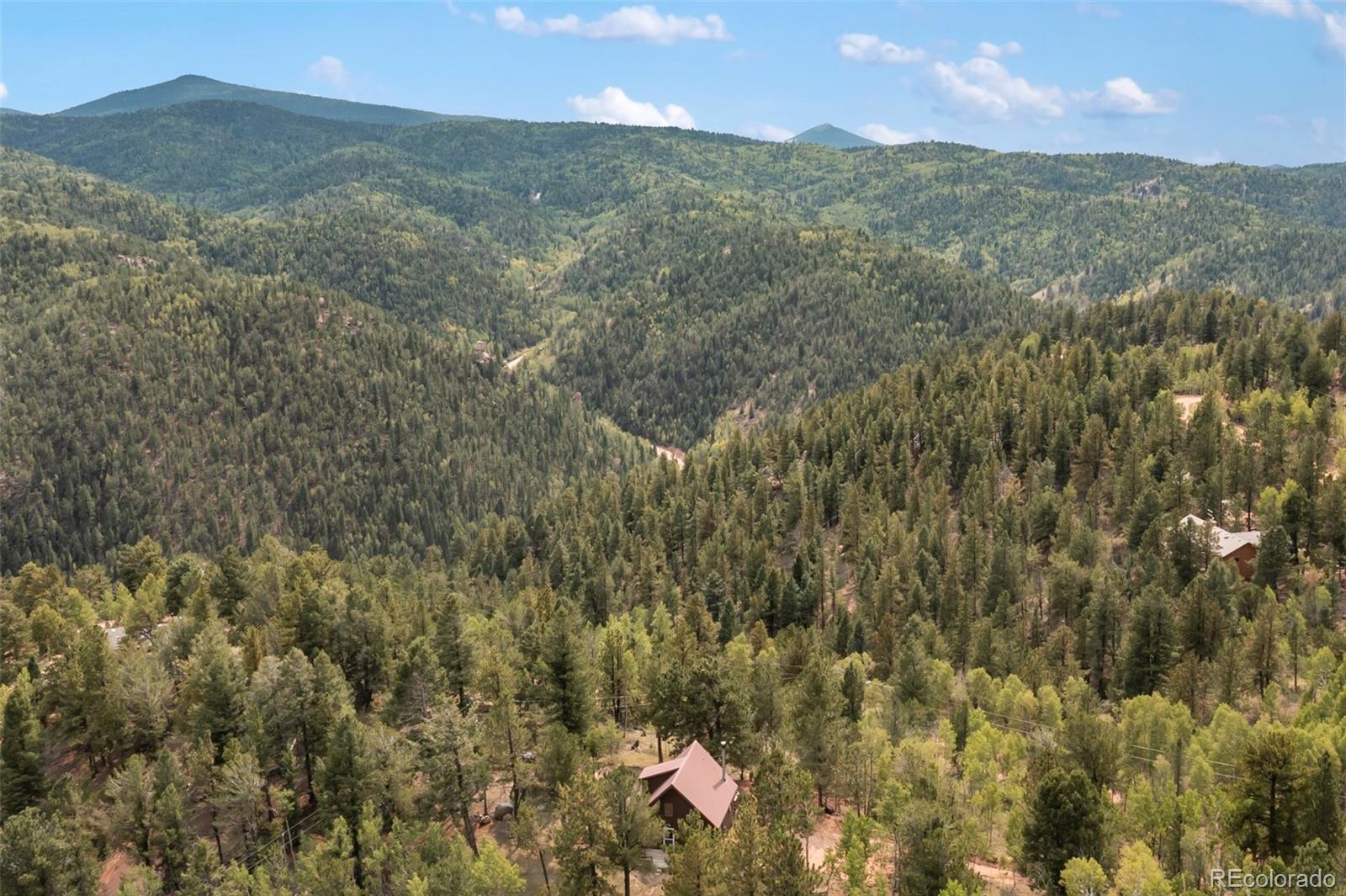 MLS Image #33 for 75  grosbeak circle,divide, Colorado