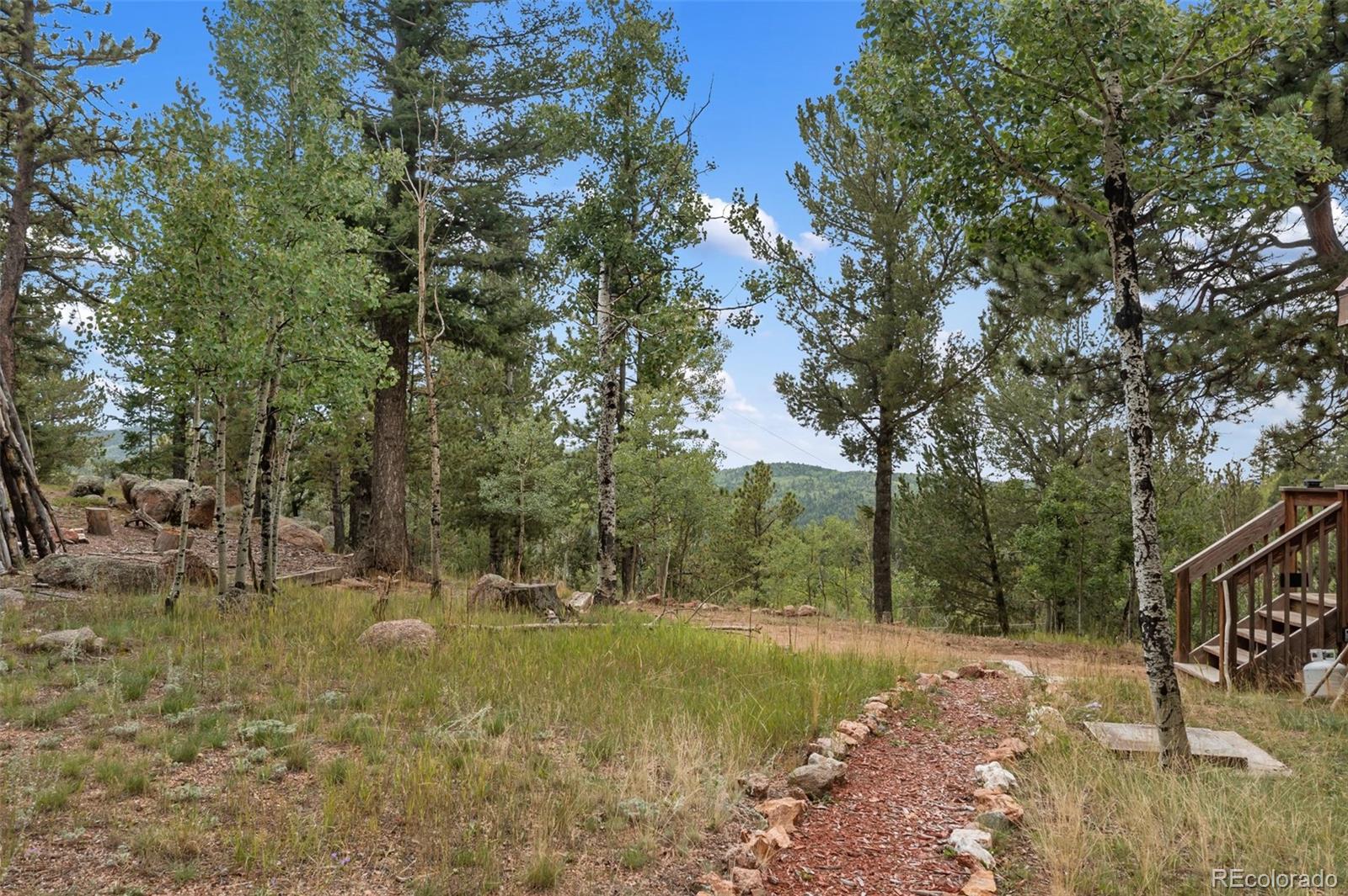 MLS Image #37 for 75  grosbeak circle,divide, Colorado
