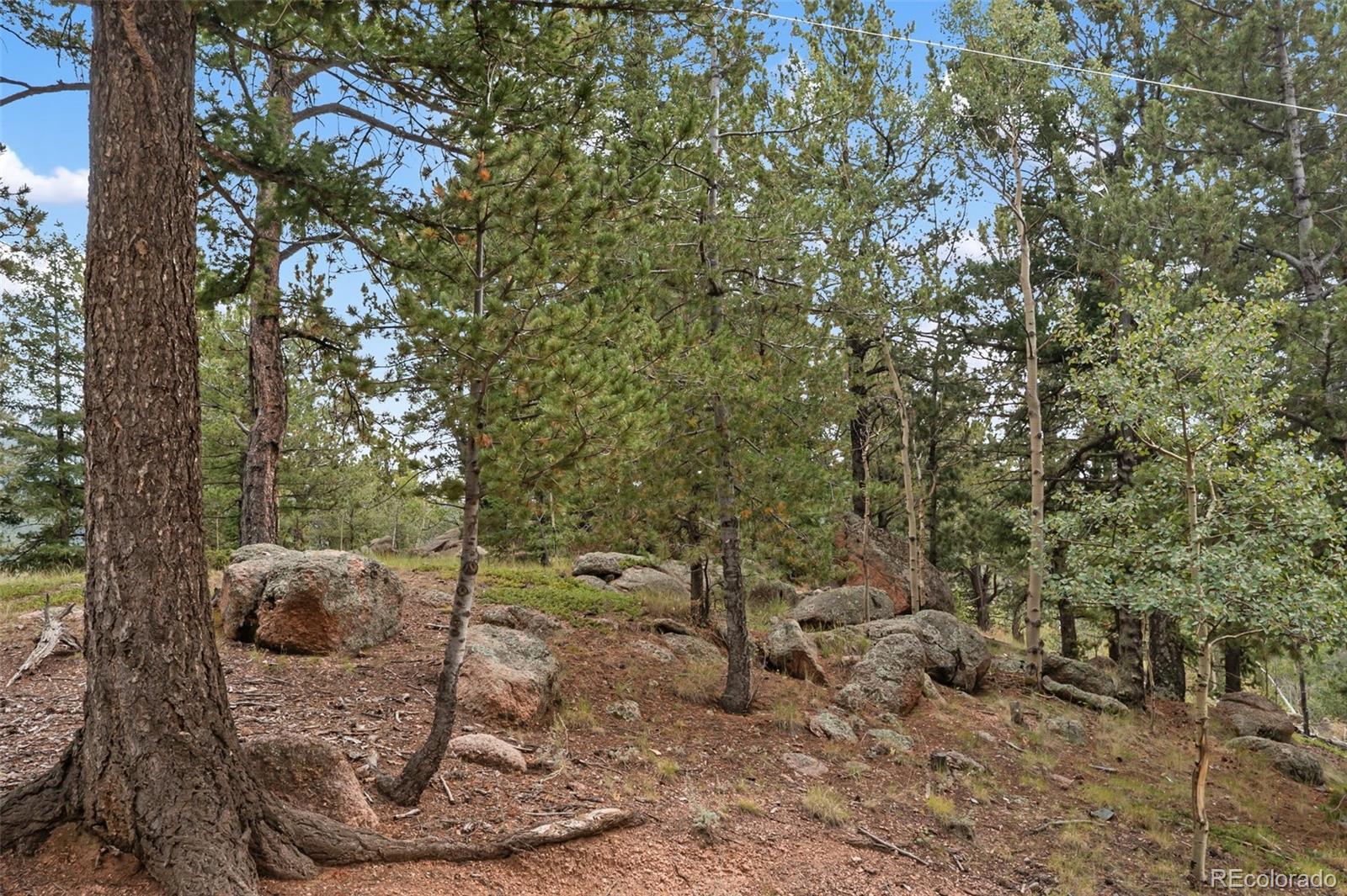 MLS Image #38 for 75  grosbeak circle,divide, Colorado
