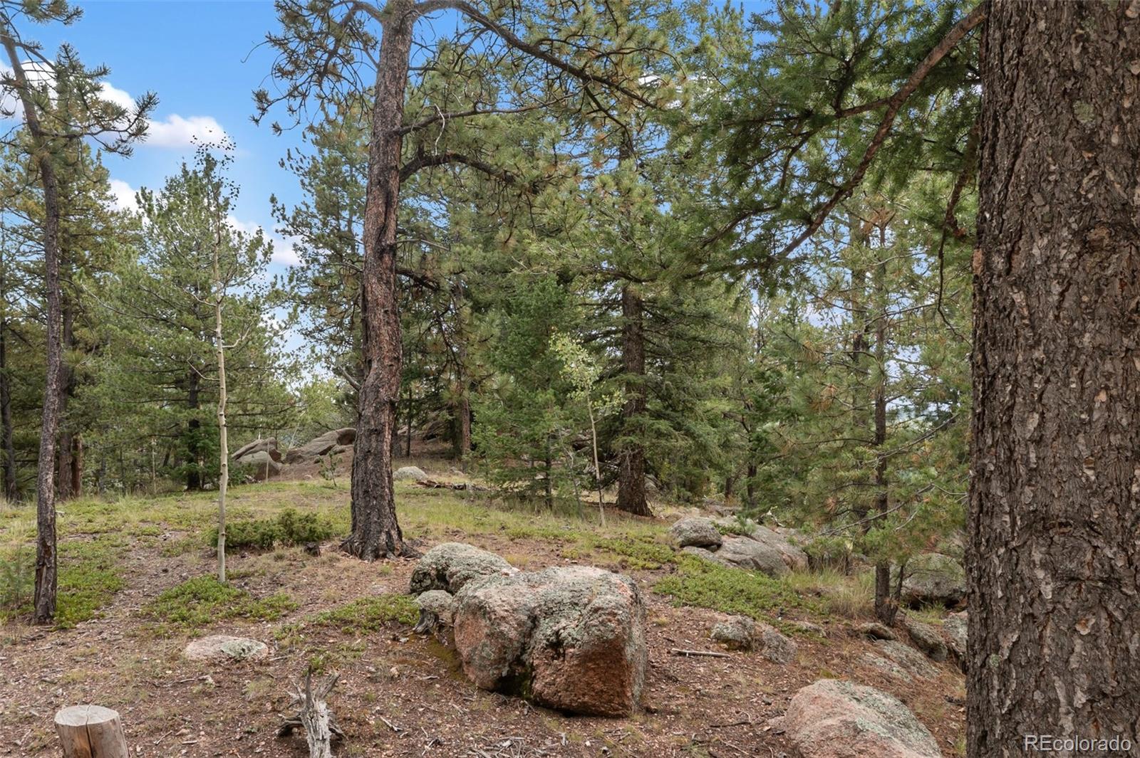 MLS Image #39 for 75  grosbeak circle,divide, Colorado