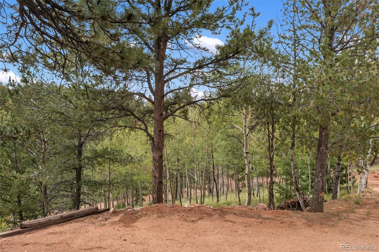 MLS Image #40 for 75  grosbeak circle,divide, Colorado