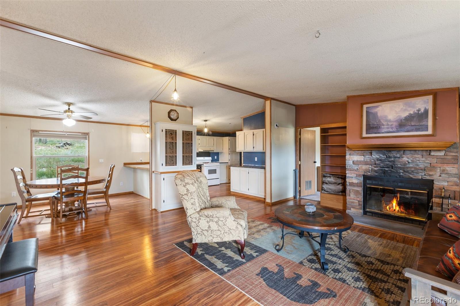 MLS Image #11 for 1703  arapahoe drive,florissant, Colorado