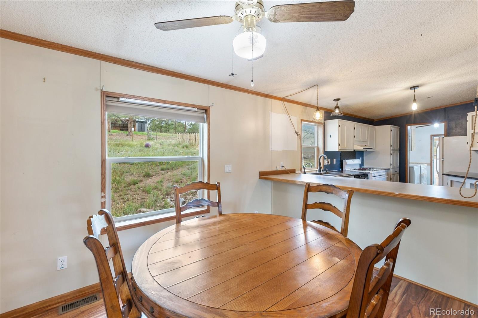 MLS Image #14 for 1703  arapahoe drive,florissant, Colorado