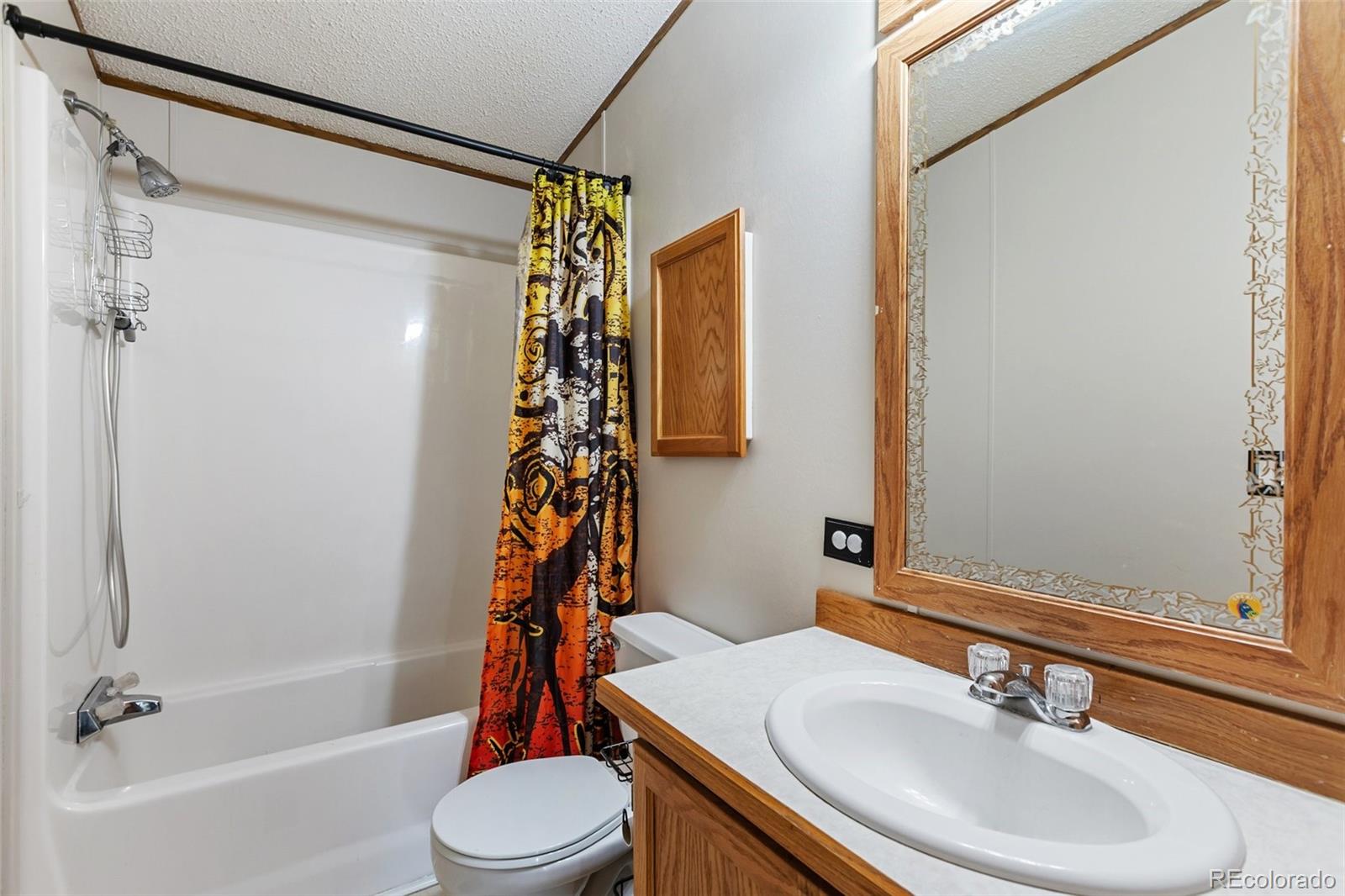 MLS Image #15 for 1703  arapahoe drive,florissant, Colorado