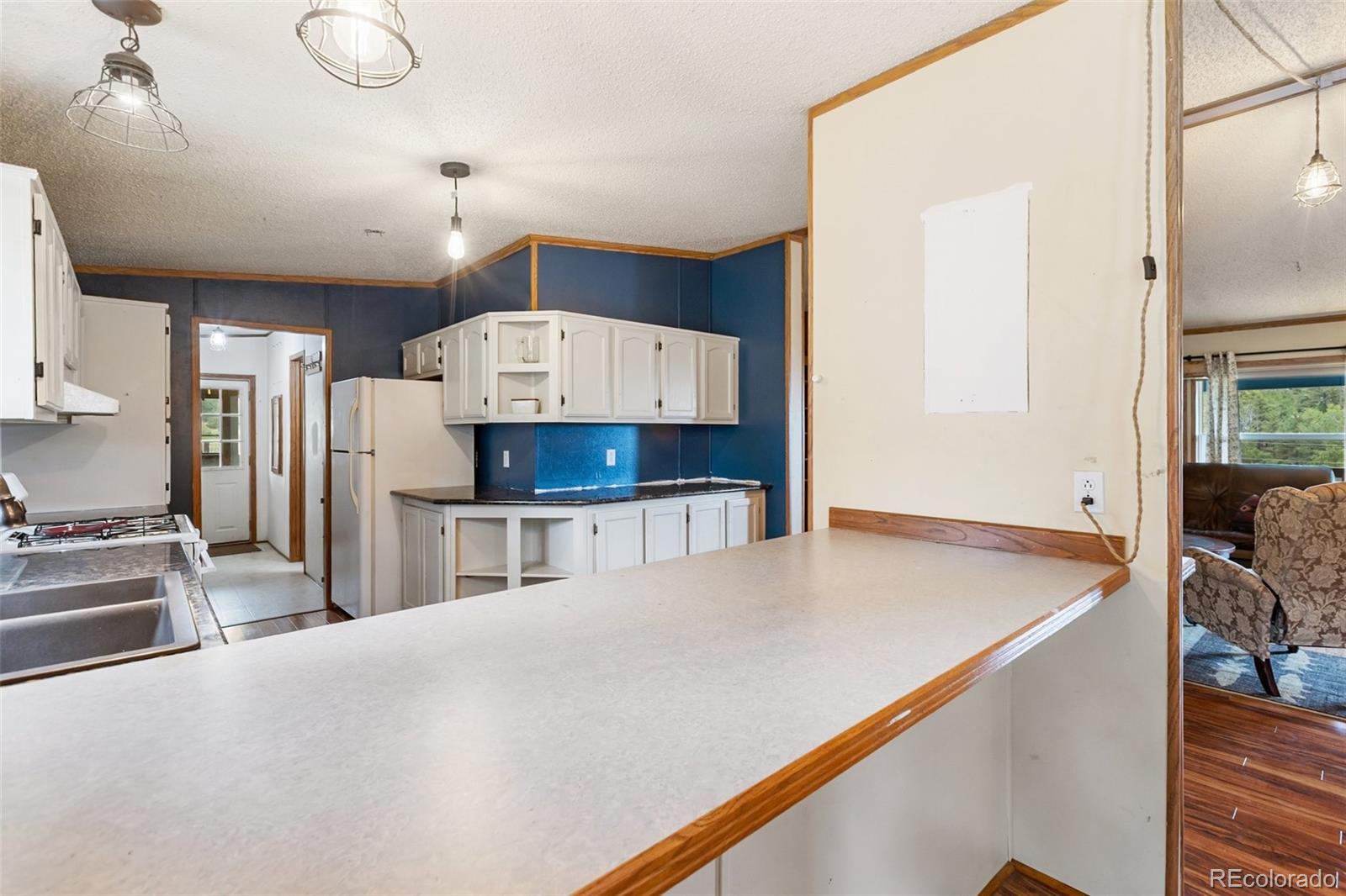 MLS Image #18 for 1703  arapahoe drive,florissant, Colorado