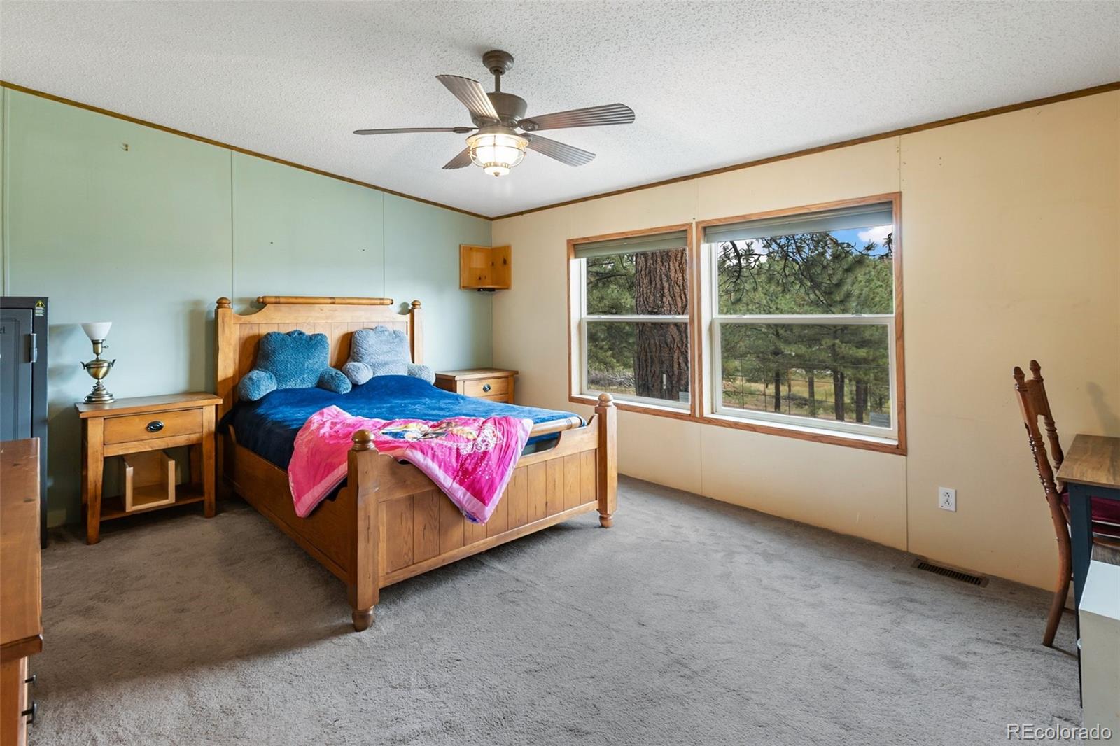 MLS Image #21 for 1703  arapahoe drive,florissant, Colorado