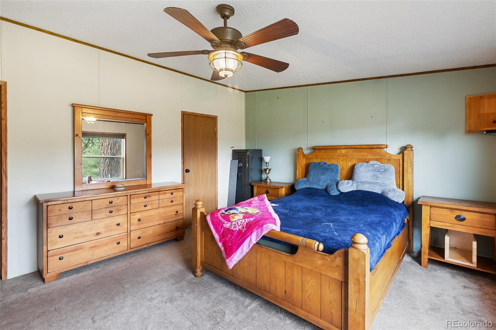 MLS Image #22 for 1703  arapahoe drive,florissant, Colorado