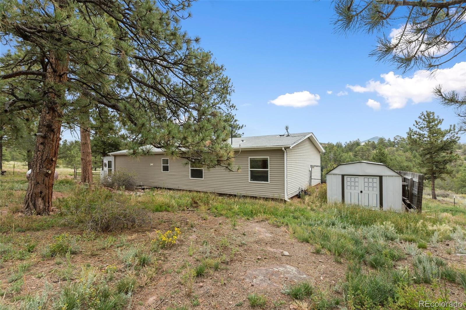 MLS Image #3 for 1703  arapahoe drive,florissant, Colorado