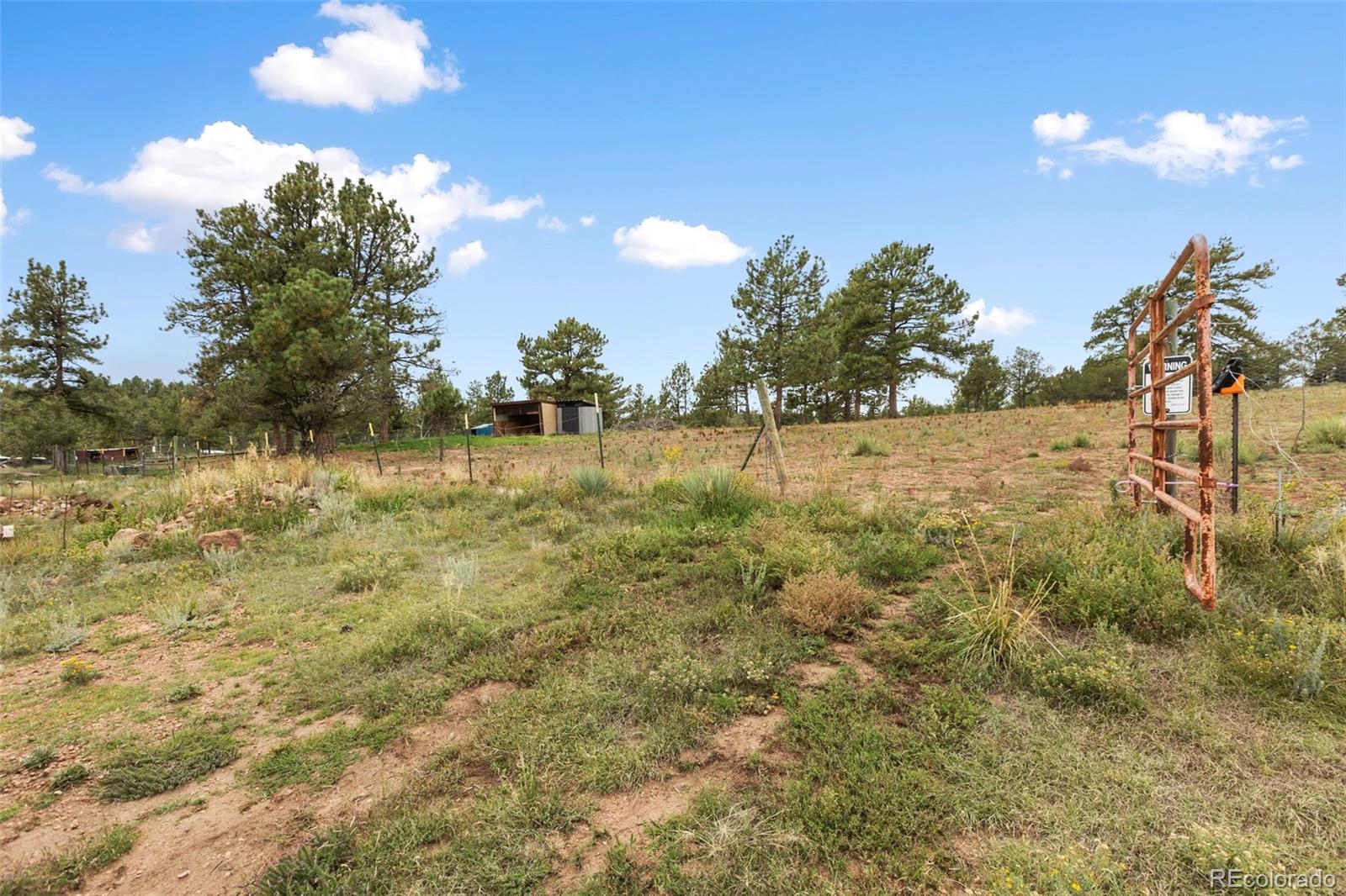 MLS Image #32 for 1703  arapahoe drive,florissant, Colorado