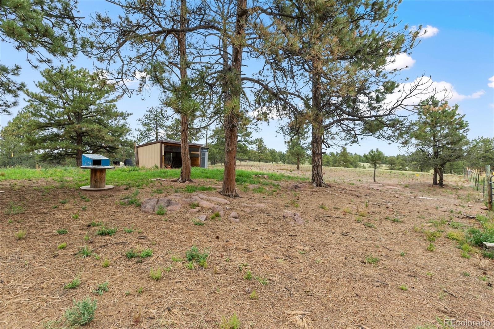 MLS Image #33 for 1703  arapahoe drive,florissant, Colorado