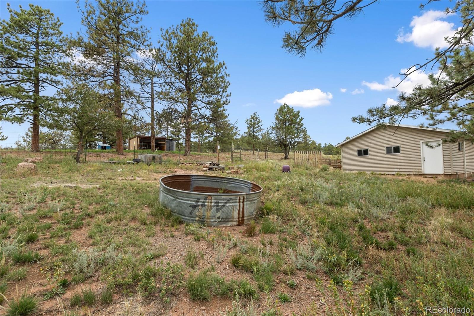 MLS Image #6 for 1703  arapahoe drive,florissant, Colorado