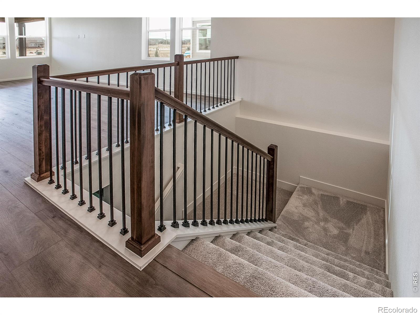 MLS Image #6 for 6071  red barn road,timnath, Colorado