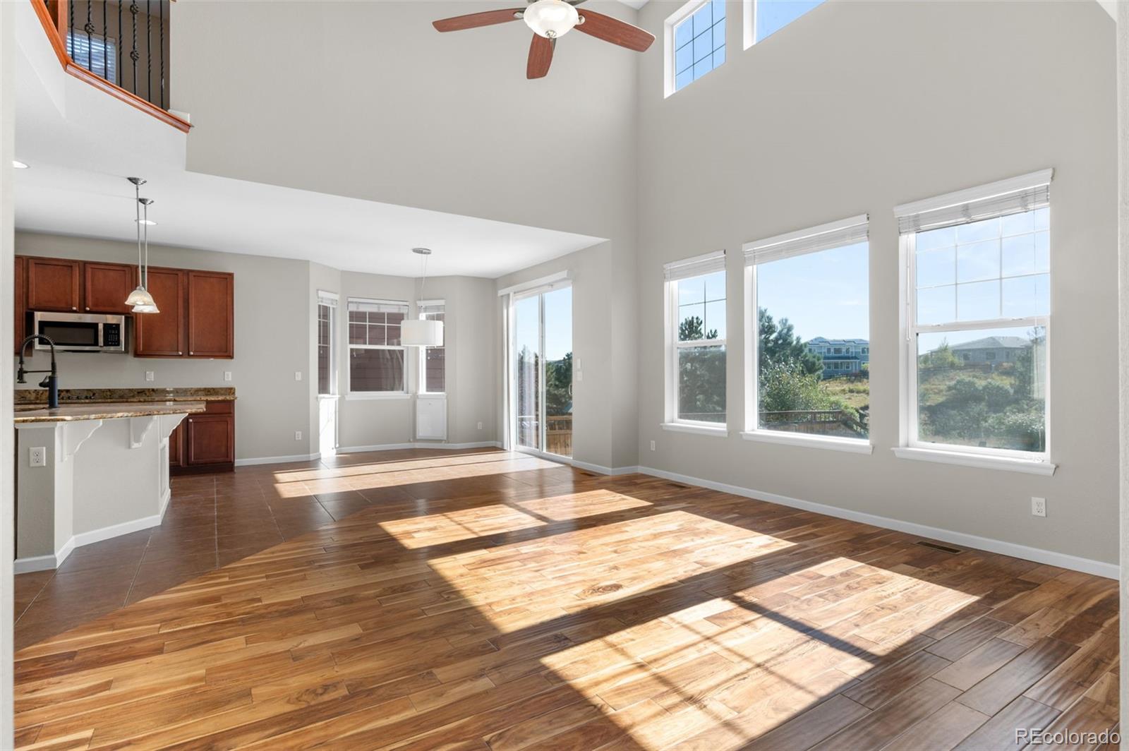 MLS Image #8 for 2996  skyward way,castle rock, Colorado