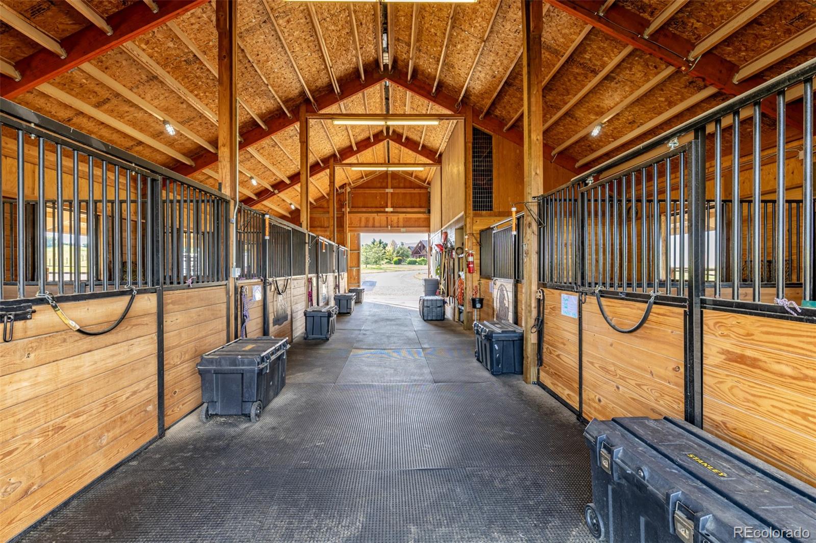 MLS Image #3 for 9250  steeplechase drive,franktown, Colorado