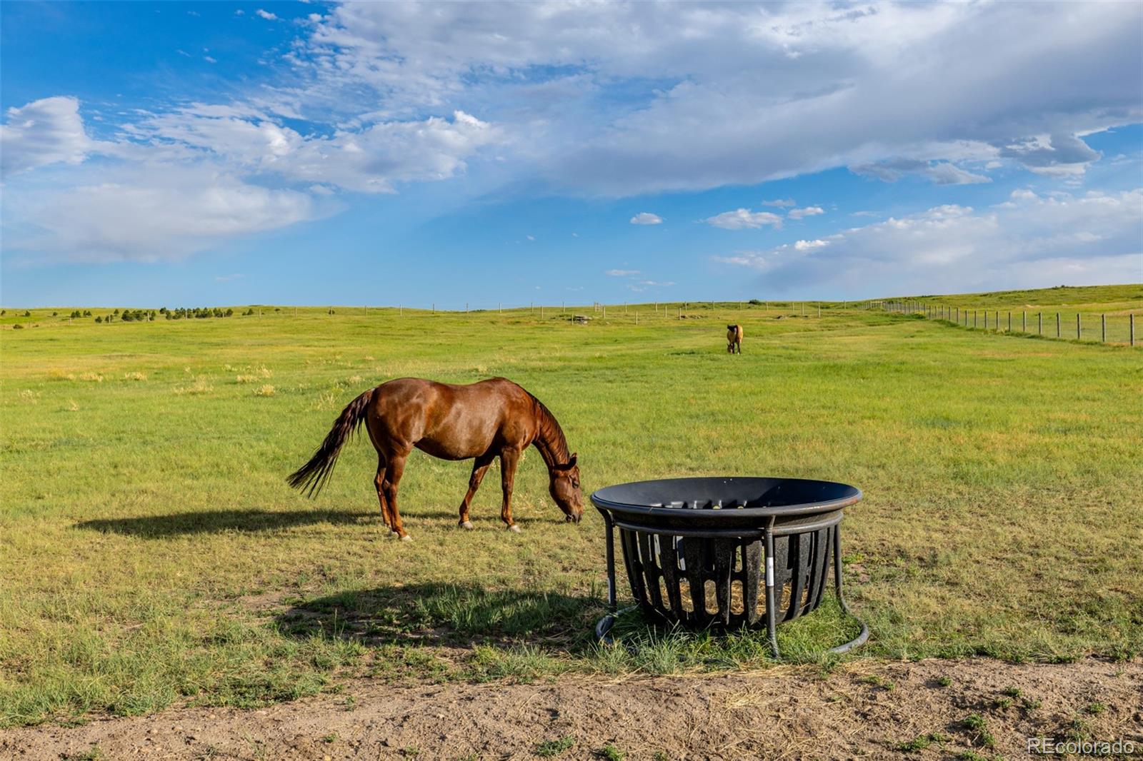 MLS Image #44 for 9250  steeplechase drive,franktown, Colorado