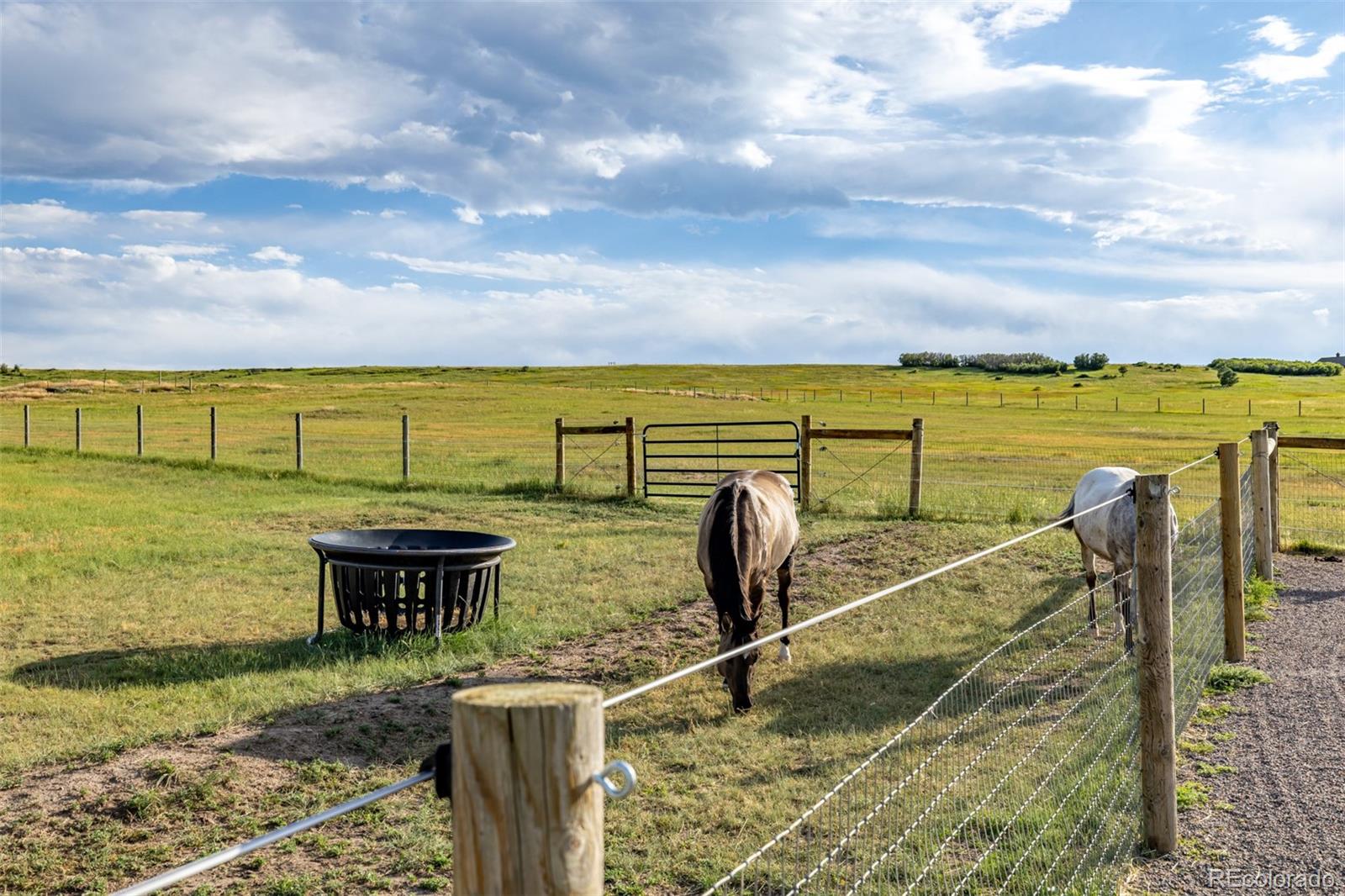 MLS Image #45 for 9250  steeplechase drive,franktown, Colorado