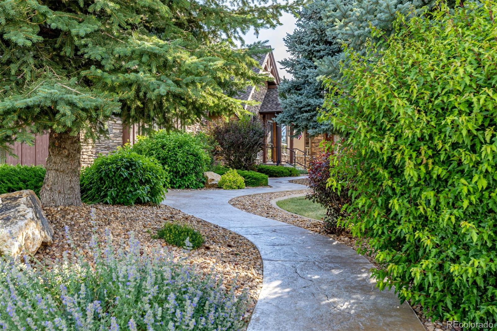 MLS Image #6 for 9250  steeplechase drive,franktown, Colorado
