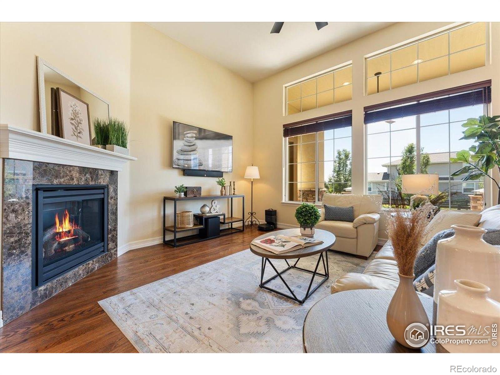 MLS Image #10 for 1035  waterfall street,timnath, Colorado