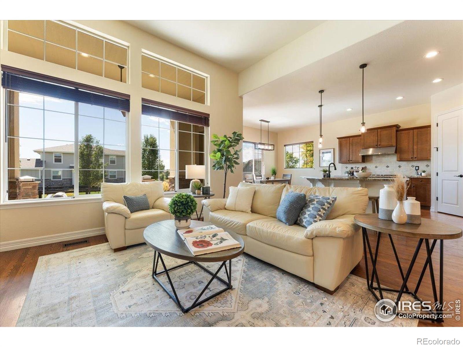 MLS Image #11 for 1035  waterfall street,timnath, Colorado