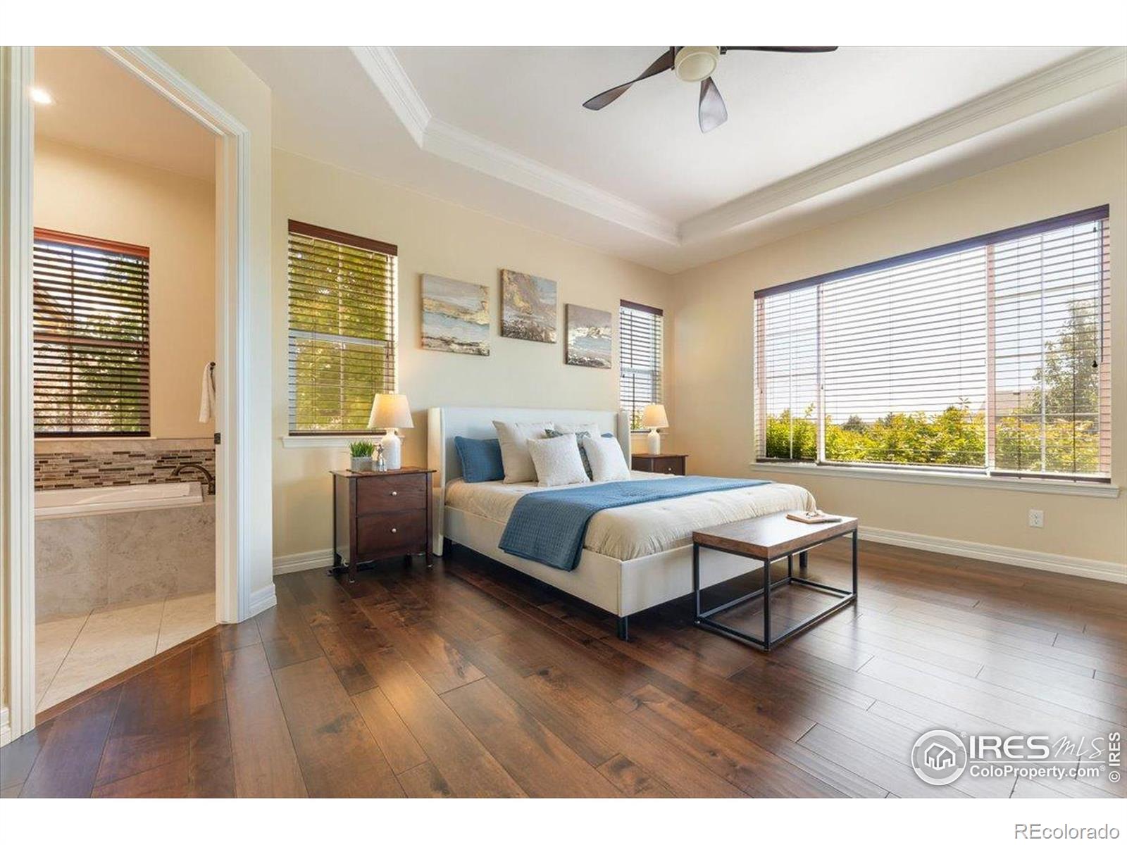 MLS Image #15 for 1035  waterfall street,timnath, Colorado
