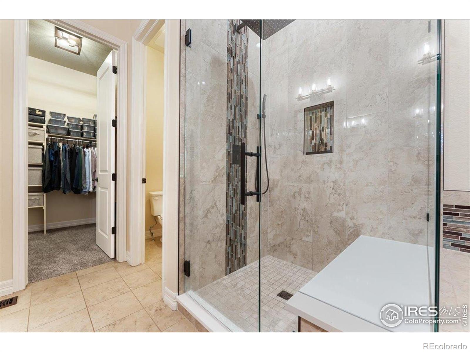 MLS Image #17 for 1035  waterfall street,timnath, Colorado