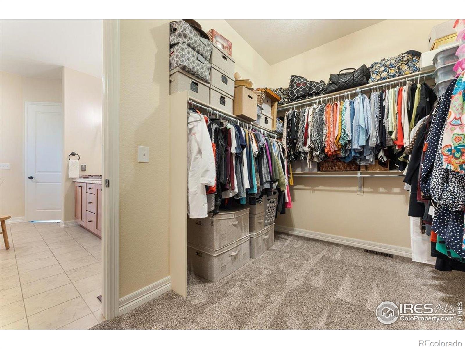 MLS Image #19 for 1035  waterfall street,timnath, Colorado