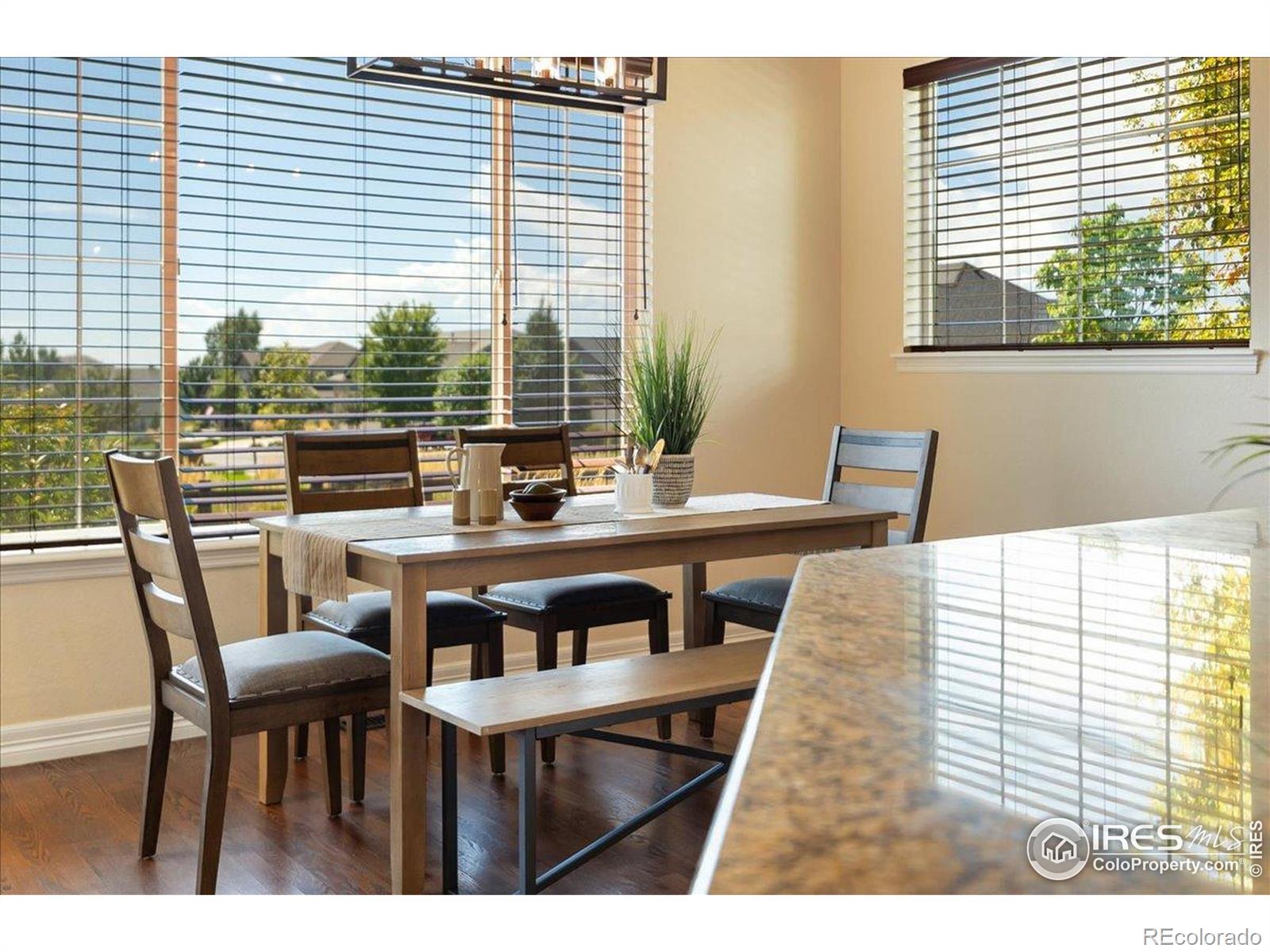 MLS Image #8 for 1035  waterfall street,timnath, Colorado