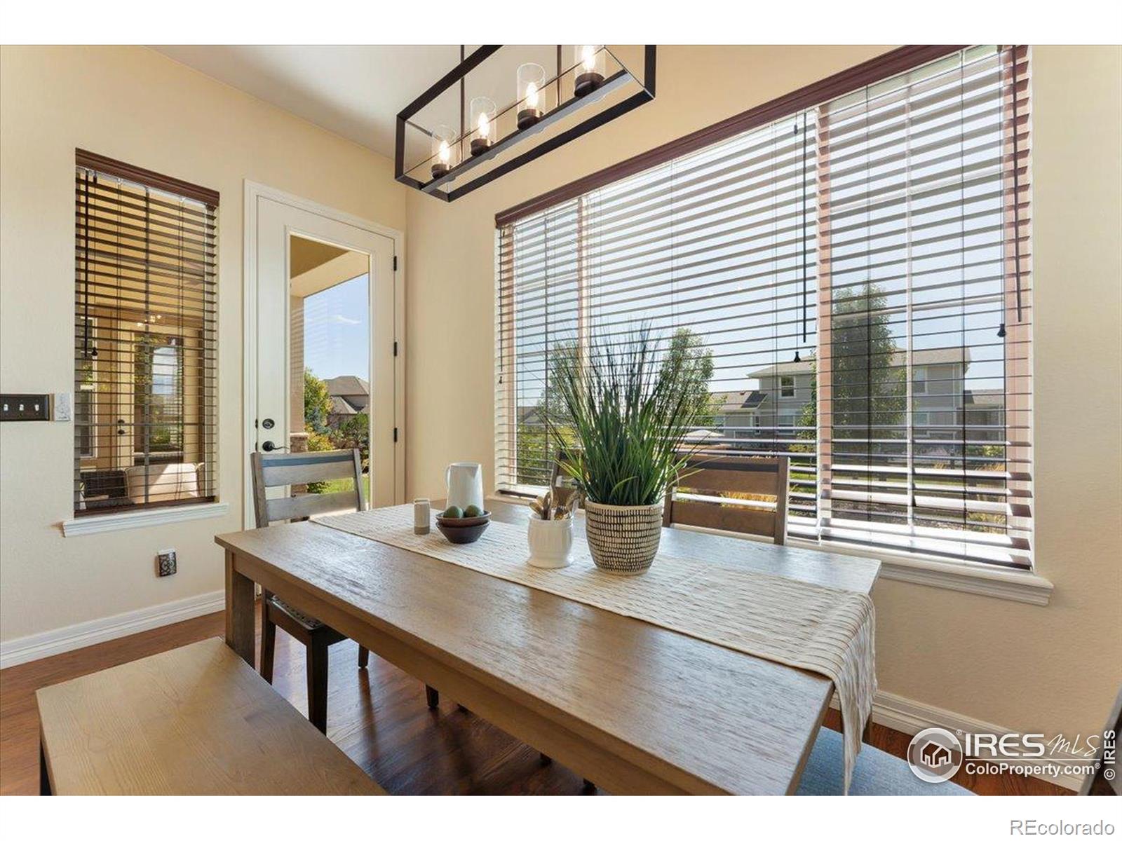 MLS Image #9 for 1035  waterfall street,timnath, Colorado