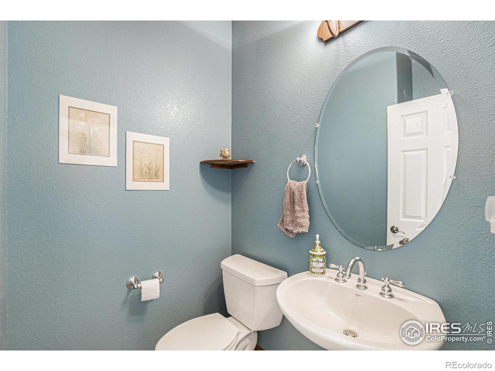 MLS Image #23 for 980  norway maple drive,loveland, Colorado