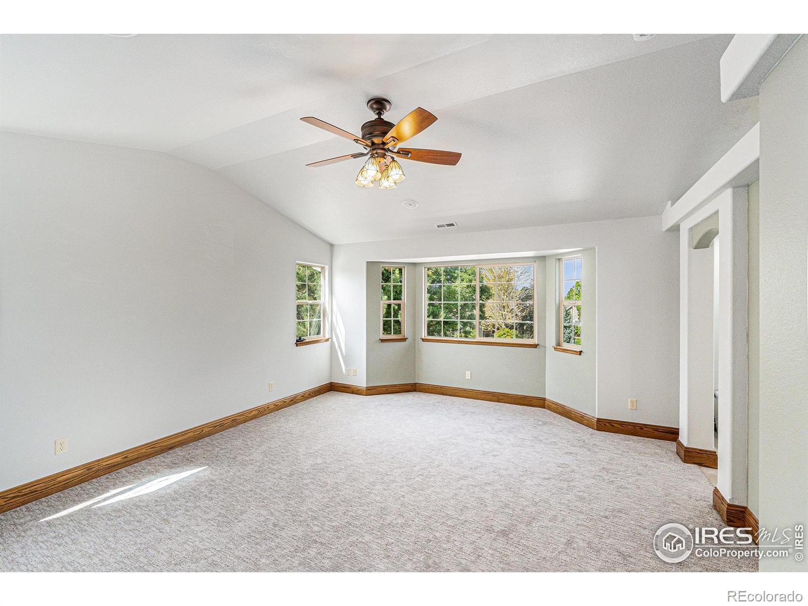 MLS Image #24 for 980  norway maple drive,loveland, Colorado
