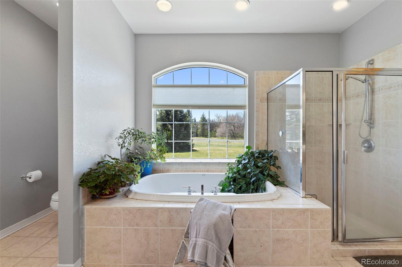 MLS Image #15 for 33  river downs ,colorado city, Colorado