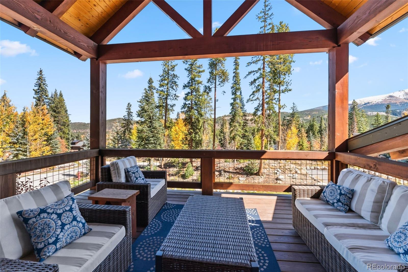 MLS Image #4 for 103  victory lane,breckenridge, Colorado