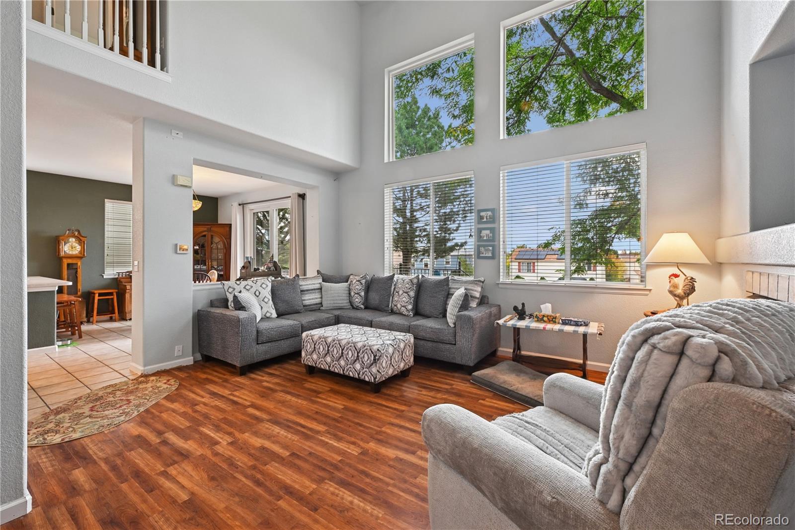 MLS Image #12 for 10213  cherryhurst lane,highlands ranch, Colorado
