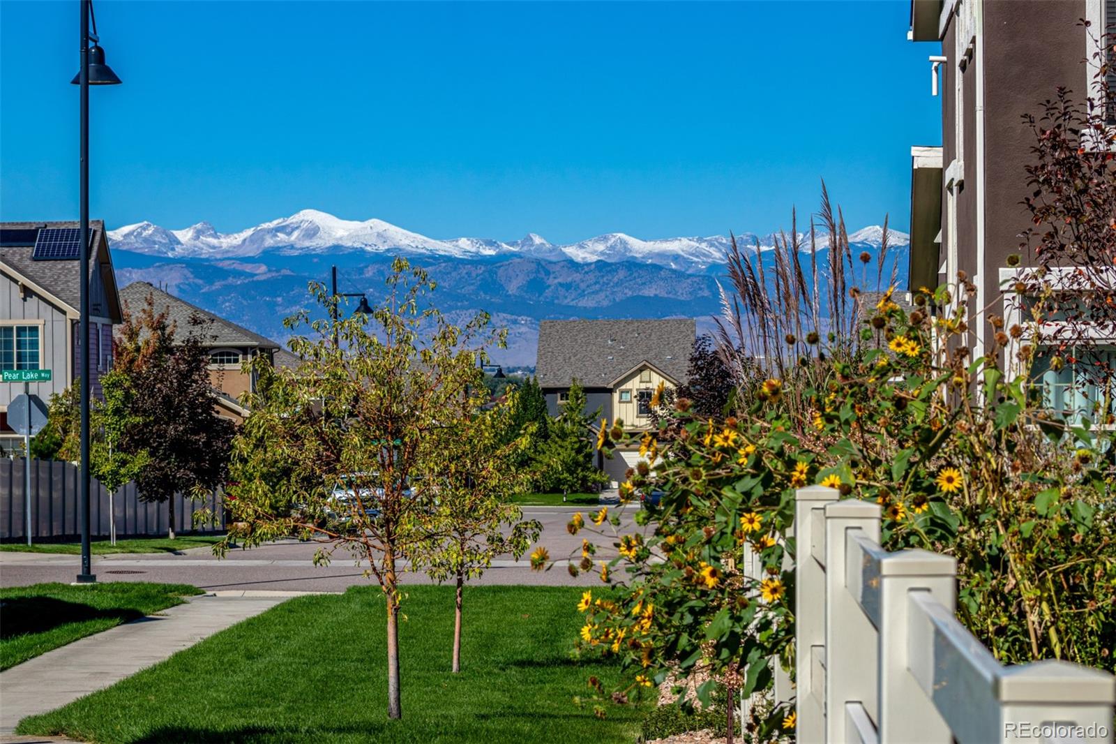 MLS Image #2 for 158  summit way,erie, Colorado