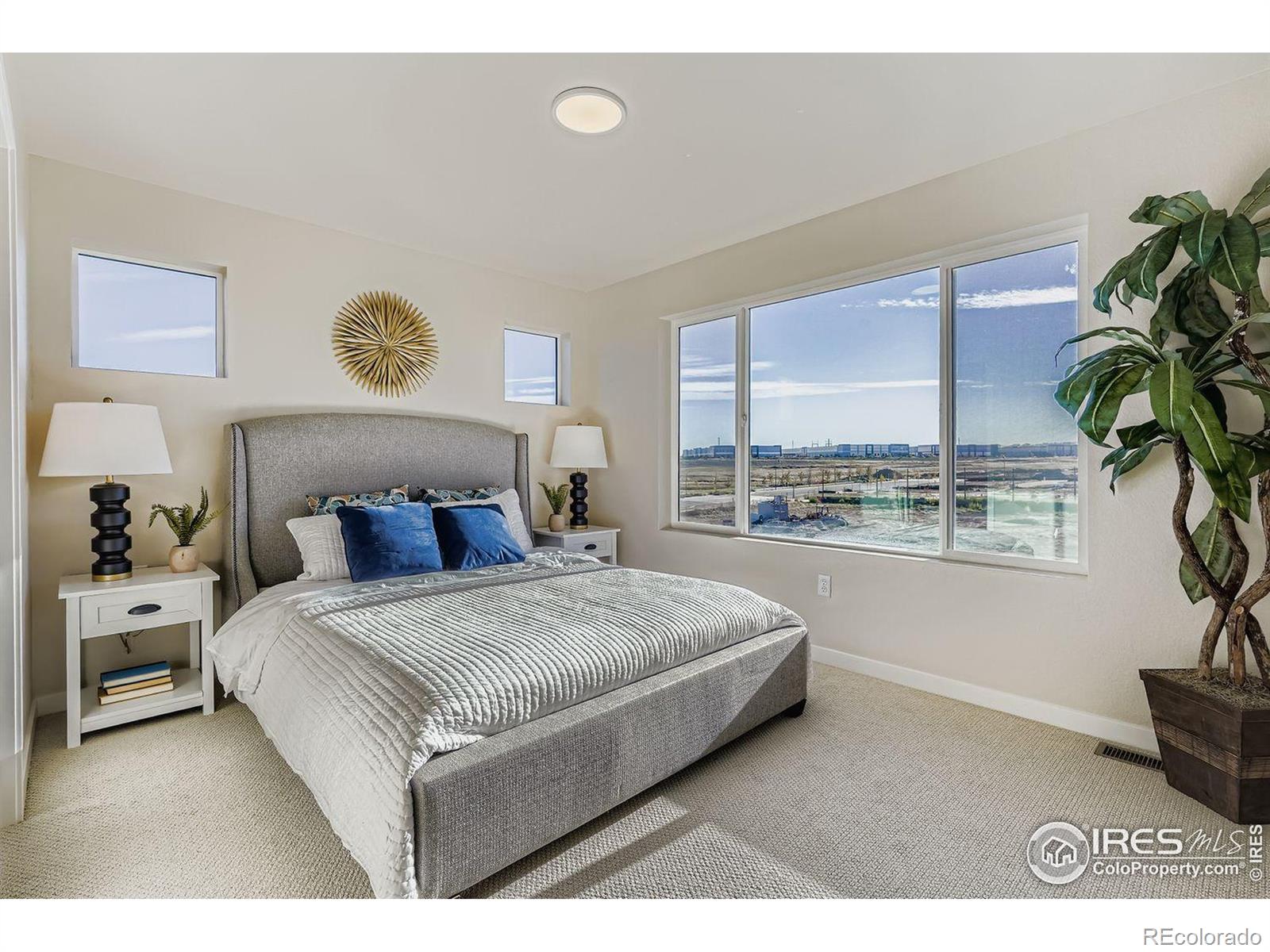 MLS Image #23 for 1585 w 166th avenue,broomfield, Colorado