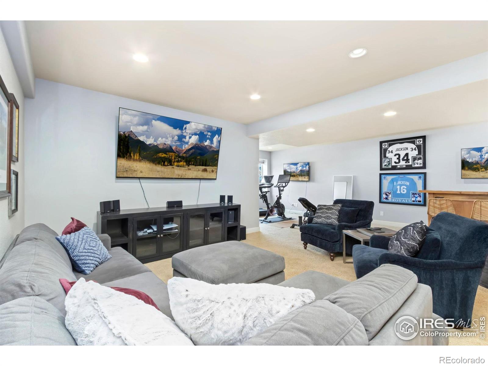 MLS Image #27 for 1992  vineyard drive,windsor, Colorado