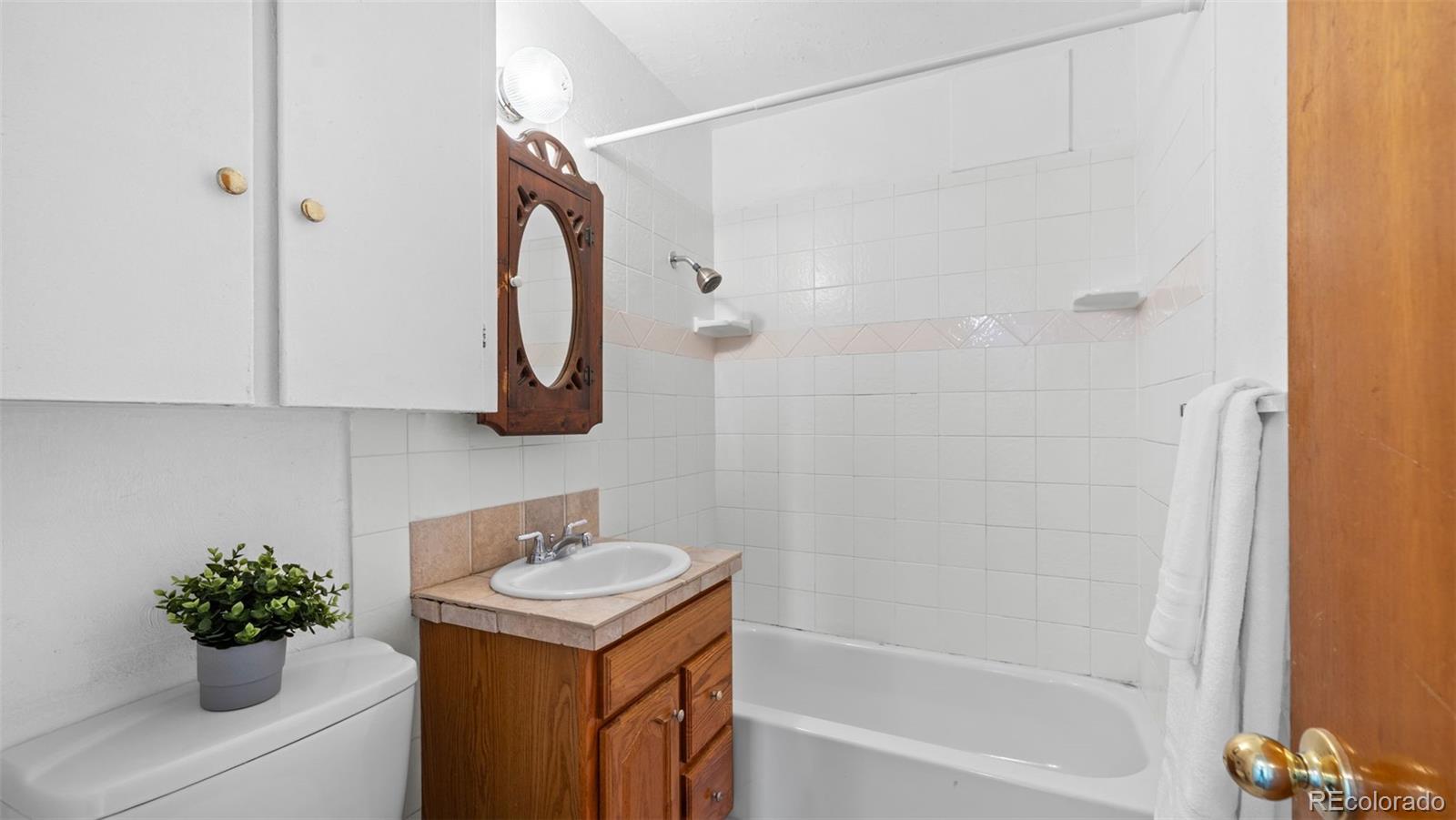 MLS Image #11 for 2906 n chestnut street,colorado springs, Colorado