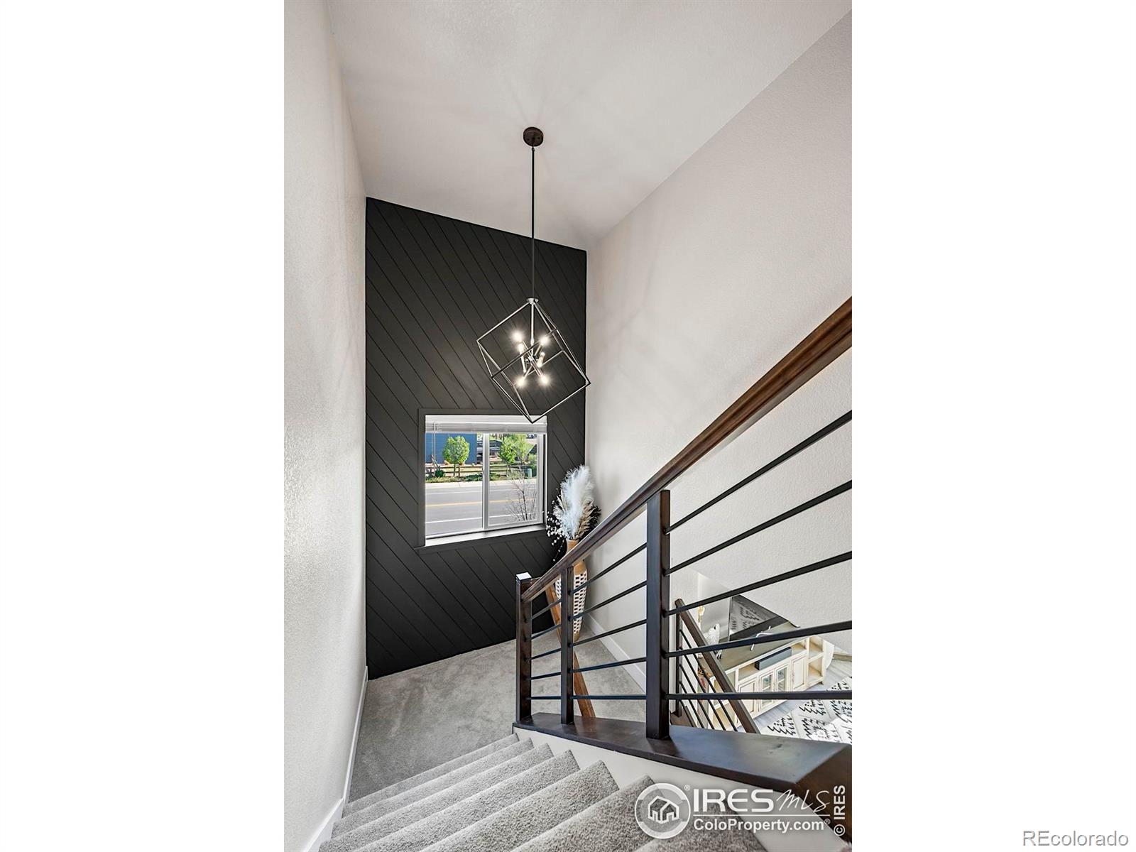 MLS Image #11 for 597  red jewel drive,windsor, Colorado
