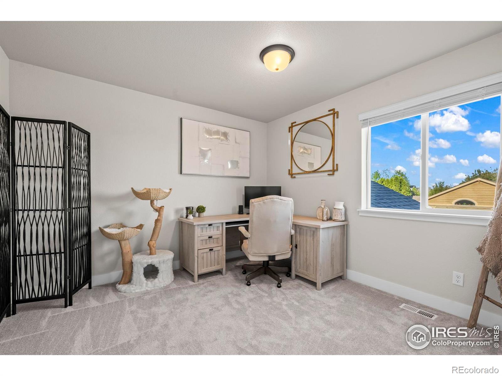 MLS Image #15 for 597  red jewel drive,windsor, Colorado