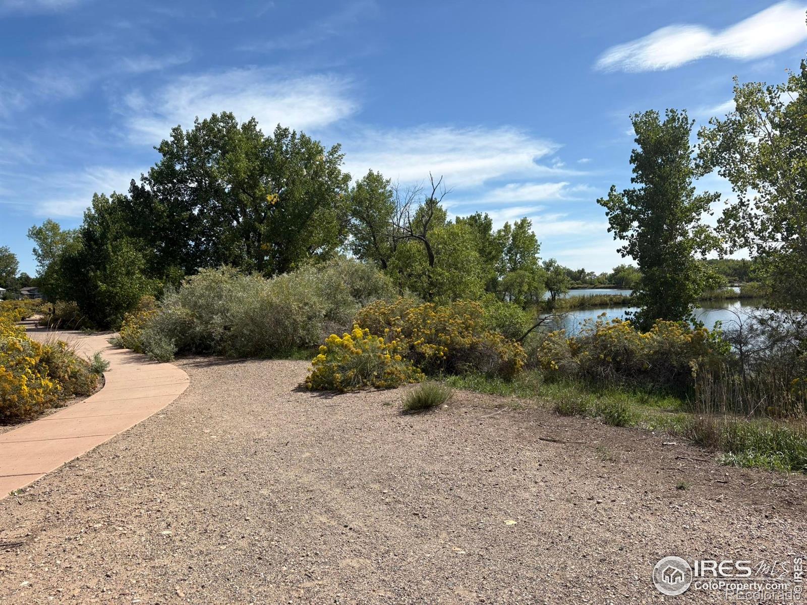 MLS Image #21 for 2706  alan street,fort collins, Colorado