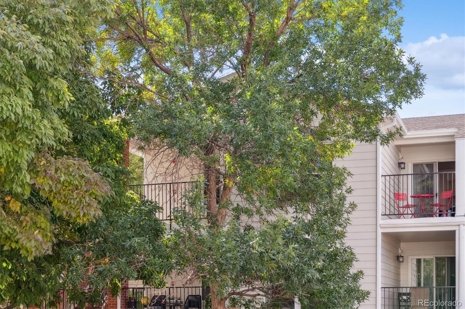 MLS Image #15 for 1697 s cole street c2,lakewood, Colorado