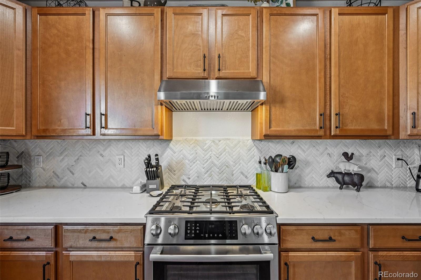 MLS Image #15 for 2959  night song way,castle rock, Colorado
