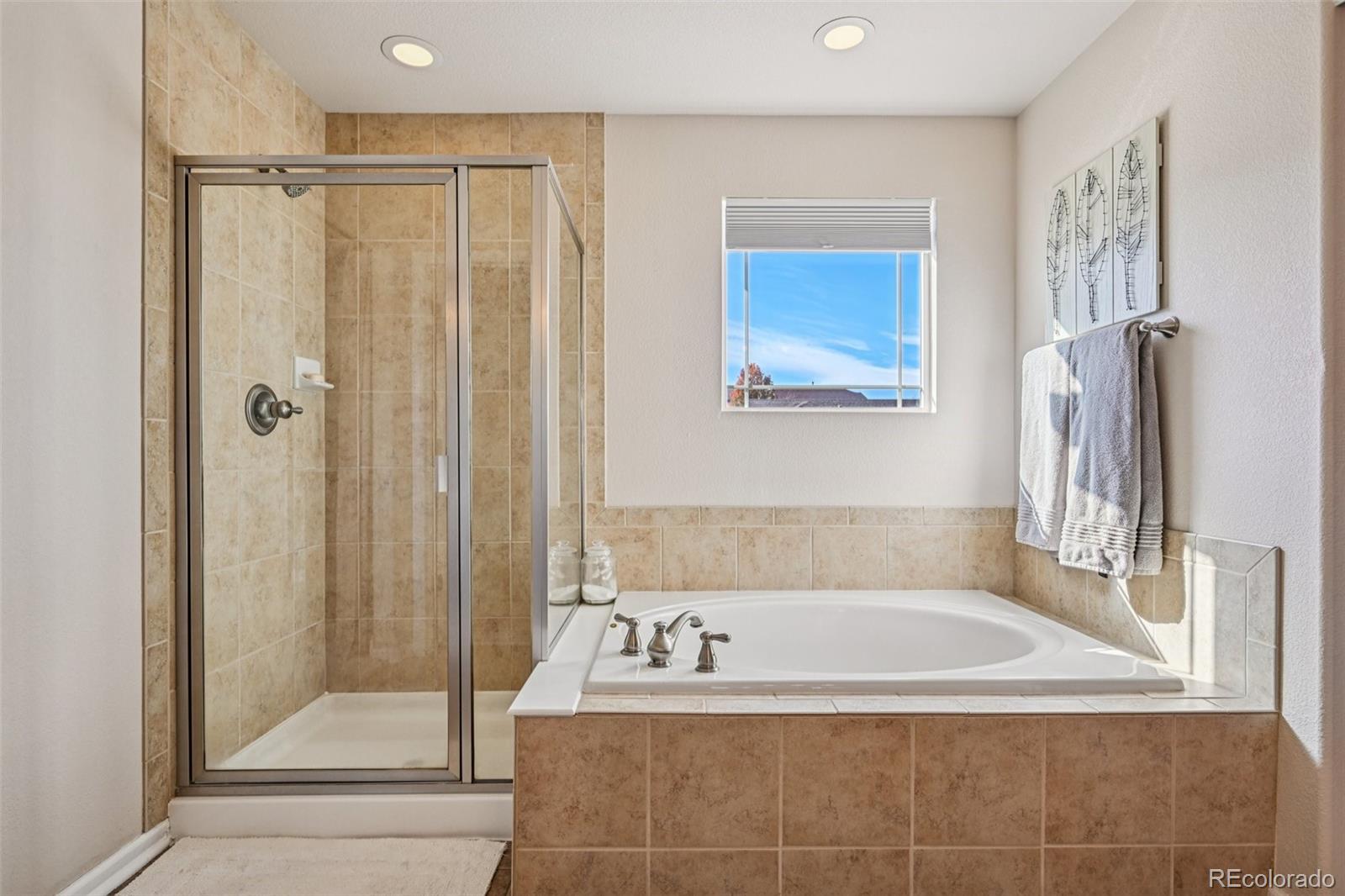 MLS Image #29 for 2959  night song way,castle rock, Colorado
