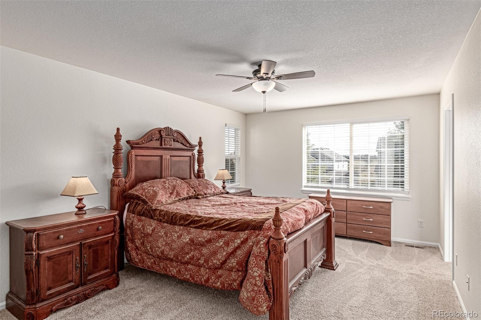 MLS Image #17 for 11701  pine hill street,parker, Colorado