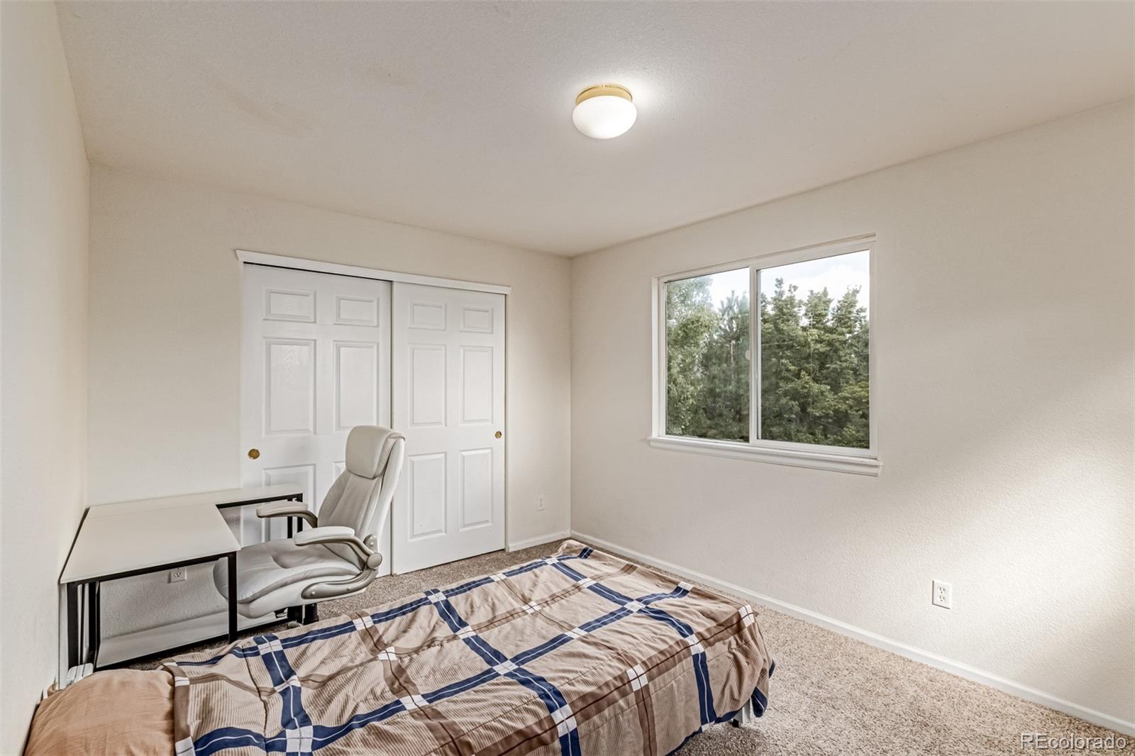 MLS Image #29 for 11701  pine hill street,parker, Colorado